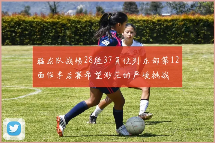 猛龙队战绩28胜37负位列东部第12面临季后赛希望渺茫的严峻挑战